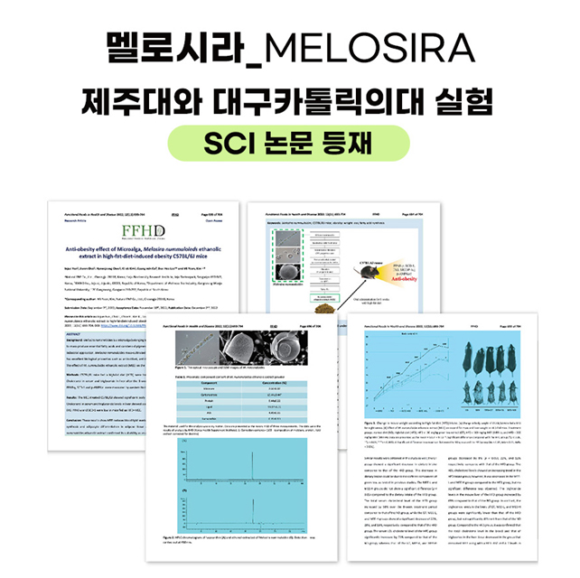 멜로시라